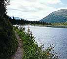 Rounding the bend at Juneau Lake...careful of moose!