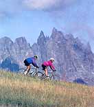 Sweet Trails Abound!