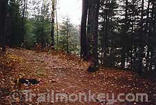 The best piece of single track in the Northern clusters!