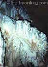 Incredible formation of mineral abound!