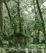 Old sugar mill circa 1852