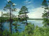 Lake Itasca with the monkeys
