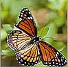 Beautiful flora and fauna abound!