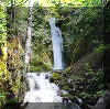 Virtual Dosewallips, Olympic N.P.  Adventure