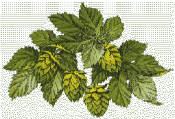 hops2333gsm.gif (21932 bytes)